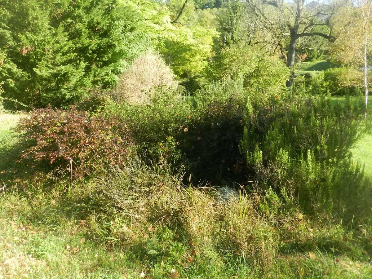 Hébergement de vacances Gîte des Sapins Roses Montaigu-de-Quercy